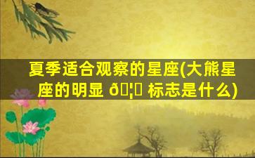 夏季适合观察的星座(大熊星座的明显 🦉 标志是什么)